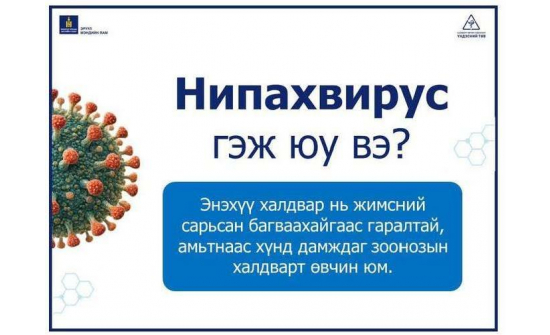 ИРГЭДИЙН АНХААРАЛД: